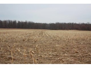 Property photo 6 - MAJOR LAND AUCTION - 541+/- Acres offered in 5 Tracts
